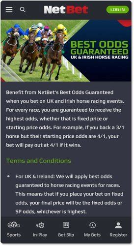 netbet odds